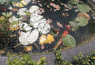 2m x 3m POND PROTECTION COVER NET KIT, INCLUDES FREE SECURING PEGS 