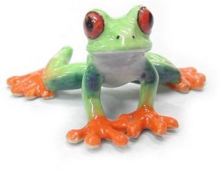 R165   Northern Rose Minature  Red Eyed Tree Frog