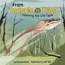 From Tadpole to Frog Following the Life Cycle NEW