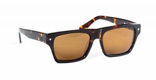Ashbury Eyewear Harlem Sunglasses w Carl Zeiss Sunlens