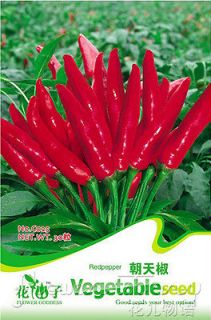 Pepper Seed ★ 30 Oriental Vegetables Red Spicy Natural Organic 