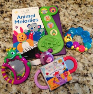 Baby Einstein Lot Animal Melodies Play a Song books Toy Teethers 