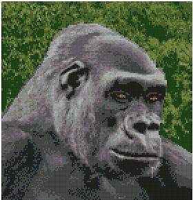 Gorilla 2 Complete Counted Cross Stitch Kit 10 x 10.3