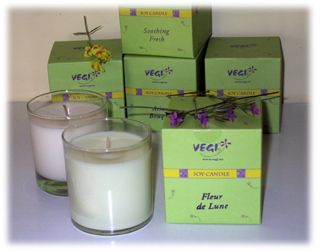 White Spa Soy Candles in a Tumbler in a Eco Friendly Box   12 scents 