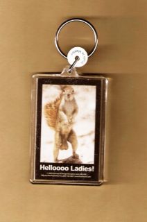 BALLS Squirrel Helloooo Ladies Novelty Acrylic Keychain