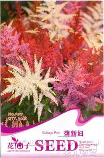   Flowers Seeds Astilbechinensis Astilbe Visions Plant Seed Home Garden