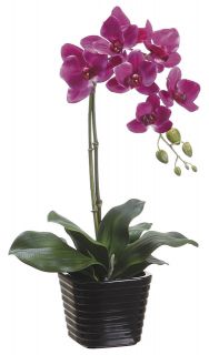21 ARTIFICIAL PHALAENOPSIS ORCHID PLANT IN CERAMIC POT,VIOLET, NEW 