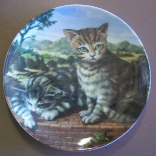 Kitty Cat Decorative Plate Collectible Cats Collection Terrace Cat 8 