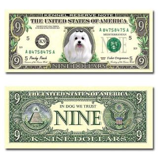 dog dollar bills