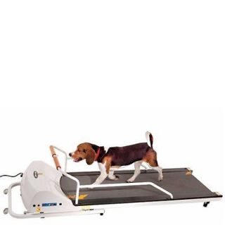 GoPet PetRun PR720F Dog Treadmill   Large Dogs