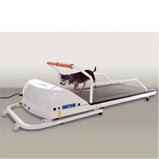 GoPet PetRun PR710 Dog Treadmill   Medium Dogs