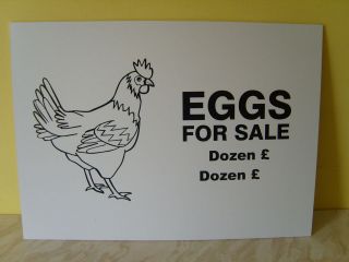 Eggs For Sale   Rigid Exterior Sign   A3 approx   farm, shop, home 