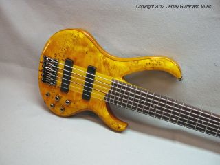 string bass in Bass