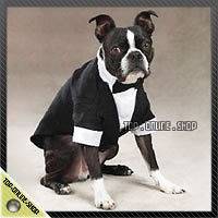 dog tuxedo in Dog Costumes