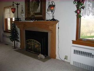 gas fireplace inserts in Fireplaces