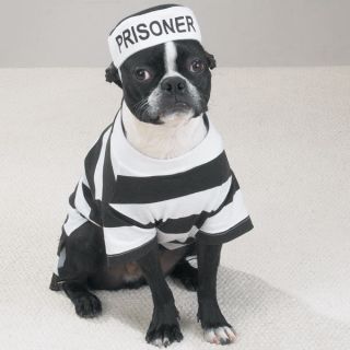 Dog Puppy Pet Halloween Costume Prison Pooch Coat Jacket Clothing 