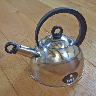 Stainless Steel Kettle for gas hobs 2 litre 