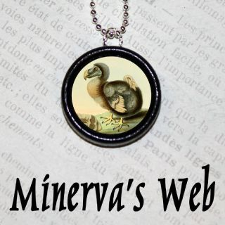 Extinct DODO BIRD Chick Altered Pendant Art Necklace by Minervas Web