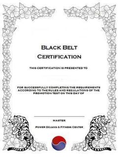 Deluxe Martial Arts Certificate Templates on CD Rom Disk