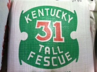Kentucky 31 Tall Fescue Grass Seed K 31 5 lbs 98% Pure
