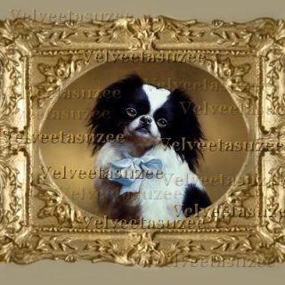 Dog Puppy Japanese Chin Dollhouse Miniature Picture BB