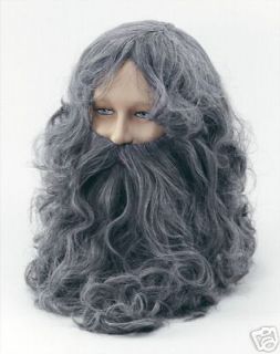 Mens Hagrid Grey Wizard Wig & Beard Fancy Dress Lotr