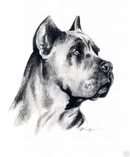 CANE CORSO Dog Pencil ART NOTE CARDS by Artist DJR