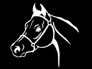 Arabian Horse Head Equestrian car window laptop trailer decal sticker 