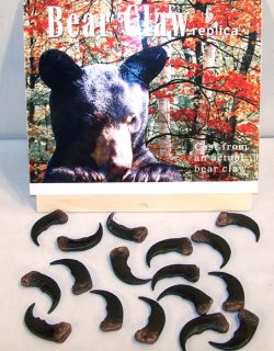   GRIZZLY BEAR CLAW brown bears black animal claws LOT new items