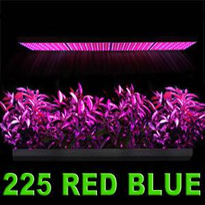 Blue Red Mix 900 LED Grow Light 4 Panel 56w Indoor Garden Hydroponic 