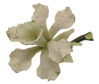 Capodimonte orchid ornament or table centre piece   green edge to 