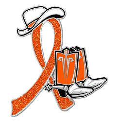   Sclerosis Orange Glitter Ribbon Cowgirl Cowboy Western Boots Hat Pin