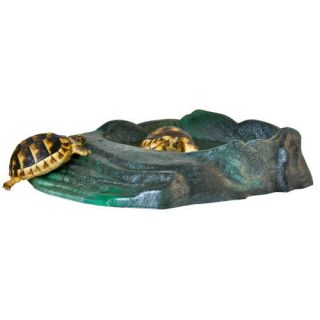 Frogs Turtles Snakes Lizard Reptile Ramp Bowl Lg RRB 11