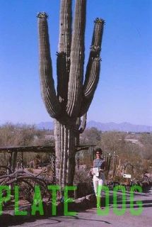 Woman Giant Saguaro Cactus Desert Phoenix AZ Vintage 1960s Original 