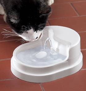 WATER FOUNTAIN FOR CATS fountain filters water for fresh and clean 