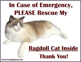 RAGDOLL CAT   In Case of Emergency Rescue my RAGDOLL   Window Decal 