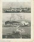 FISHING ANTIQUE PRINT VINTAGE 1850s ENGRAVING WHALING WHALE HARPOON 