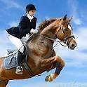 EQUESTRIAN STORE HORSE RIDING CLOTHES BOOTS EQUIPMENT WEBSITE 