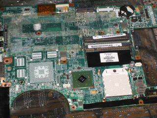 HP Pavilion DV6000 series AMD motherboard 449903 001 MOTHERBOARD 