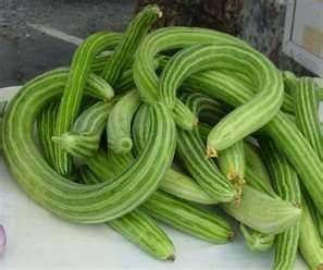 10 Seeds Armenian Yard Long Cucumber Non GMO Heirloom new seeds for 