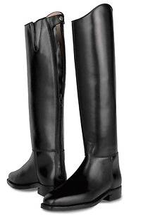 Ariat Maestro Pro Zip Dressage Boot Size 7 and 7.5 Height Medium Calf 