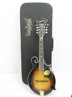 washburn mandolin in Mandolin