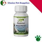 New Natural Bowel Moves Pet Herbal Homeopathic Remedies Remedy Healthy 