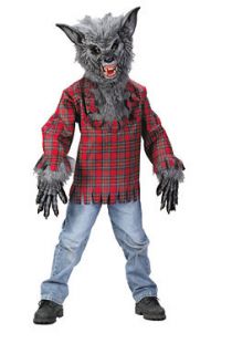 Grey Werewolf Child Halloween Costume