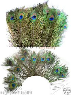 peacock feathers 100 in Feathers
