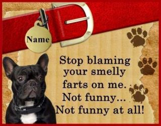   BULLDOG Magnet Stop Blaming Your Farts On Met With Your Dogs Name