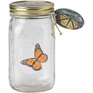 My Butterfly In A Jar ~ MONARCH BUTTERFLY ~ The Butterfly Collection