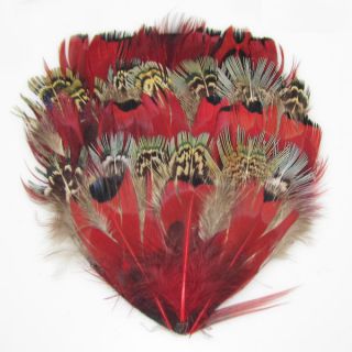 NEW Multi colors feather Natural Pad low Hackle Feathers Pad for 
