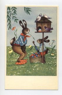 R1507 DRESSED EASTER RABBIT BUNNY STARES AT PIGEON EGGS POSTCARD