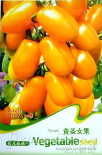 Pack 25+ Vegetable Seeds Orange Tomato Seeds Fruit Potted Hot Fresh 